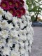 Coroana funerara din crizanteme albe si gerbera 2